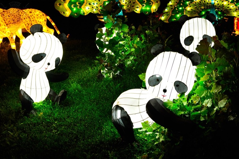 Fuente: Brittanica Image Quest