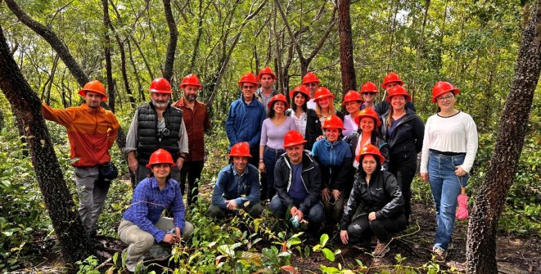 Profesores e investigadores en salida de campo de análisis de reforestaciones