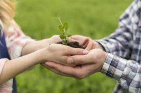 Pareja sostiene entre sus manos una planta