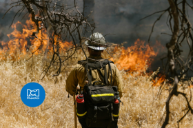 Utadeo, Bogotá Incendios forestales: impacto y realidad en Colombia