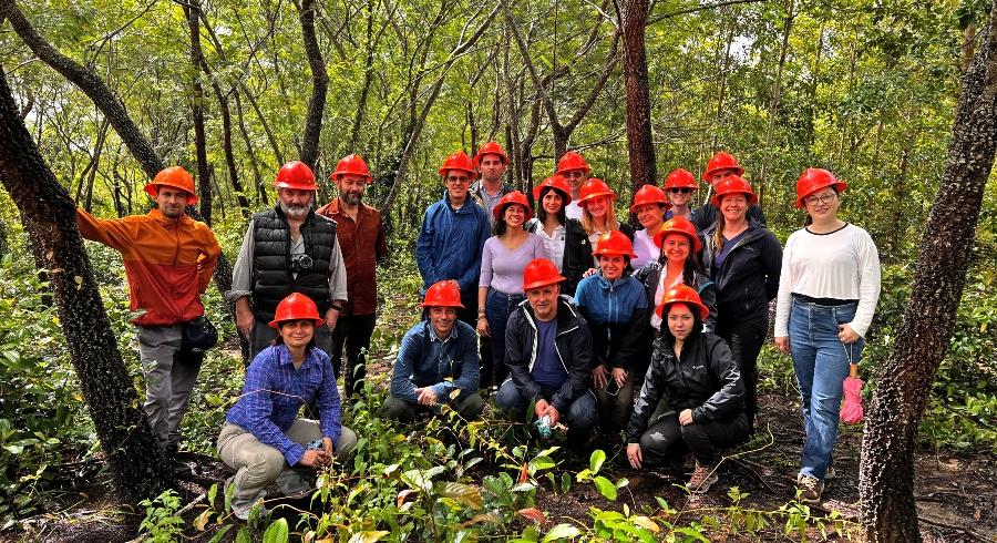 Profesores e investigadores en salida de campo de análisis de reforestaciones